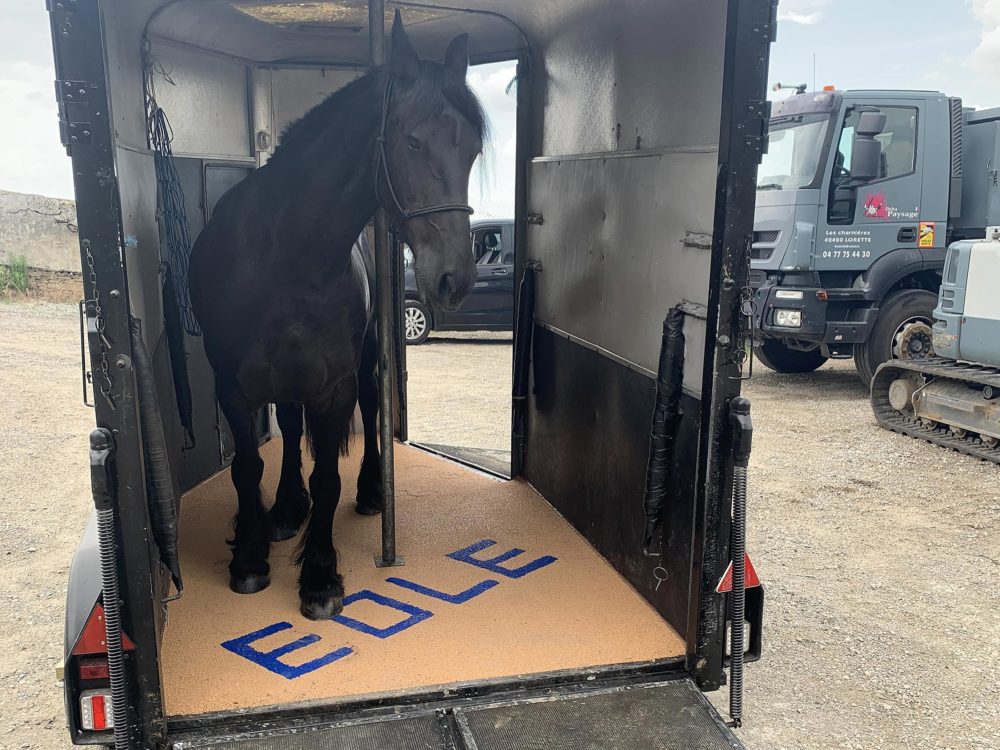 Sol Sleipnir pour ecuries Delta Paysage Paysagiste Saint Etienne